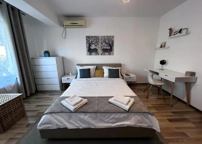 Vila Luminoasa Cu Curte Privata