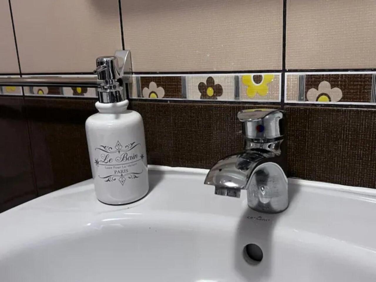 Luminoasa Cu Curte Privata Bucarest
