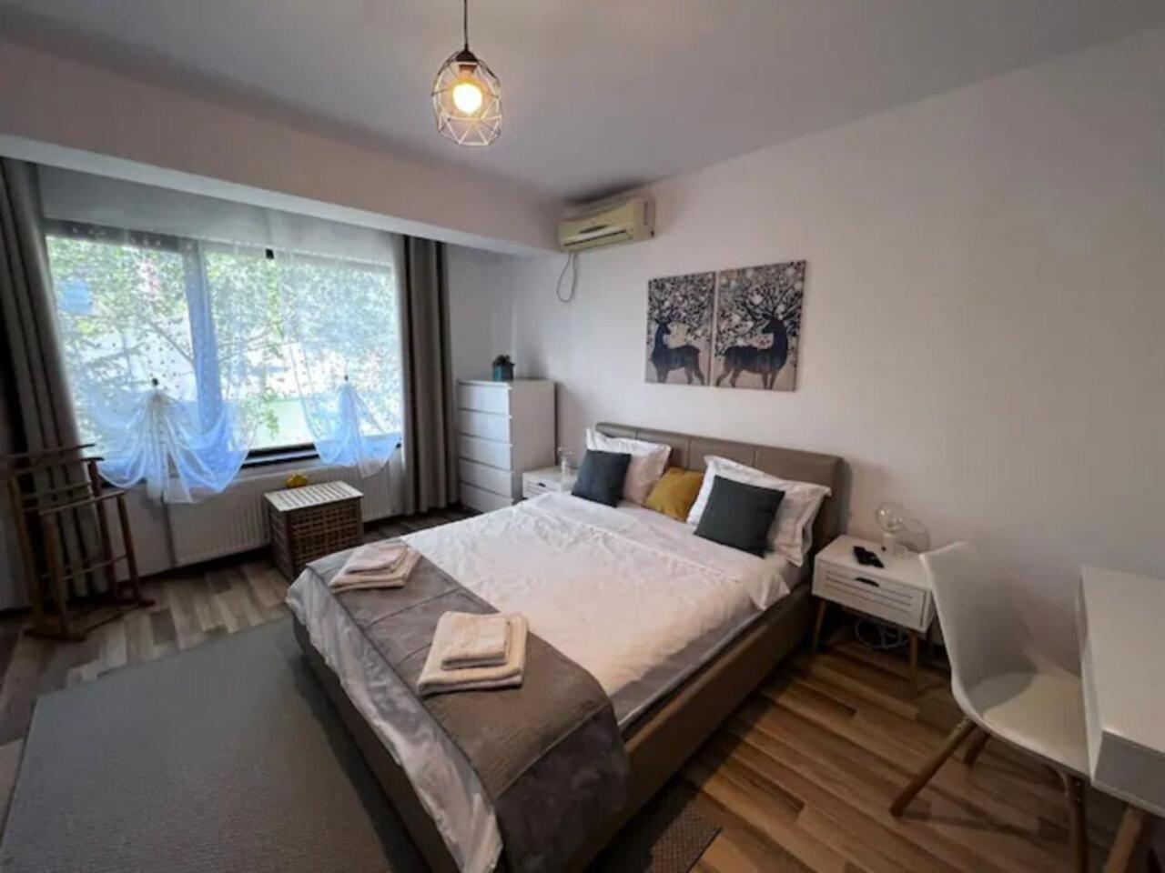 Luminoasa Cu Curte Privata Villa Bucarest