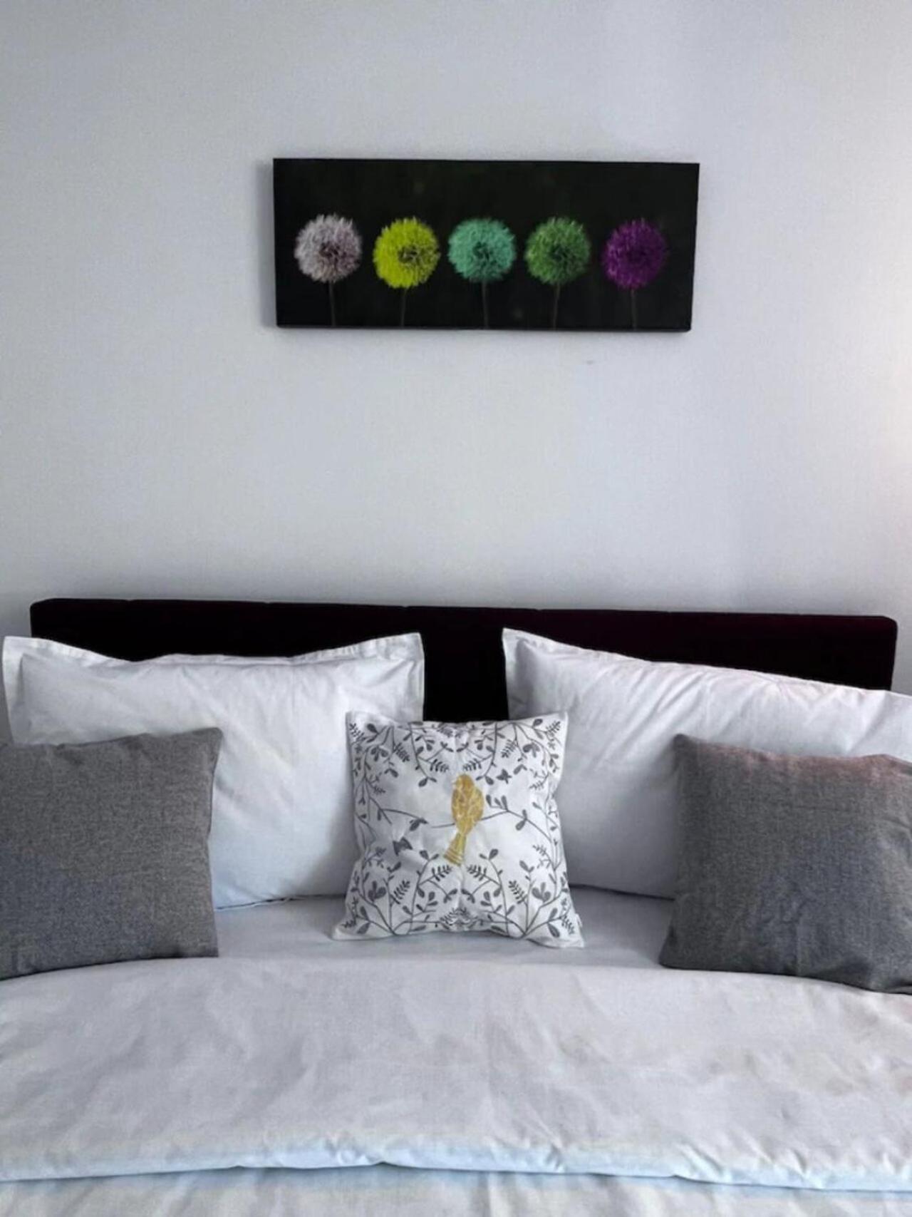 Luminoasa Cu Curte Privata * Bucarest
